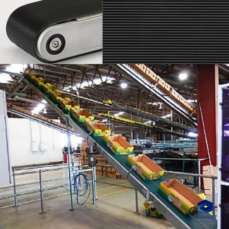 Imagem Ilustrando Alfabelt